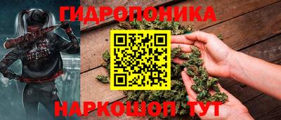 крисы Будённовск